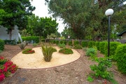 Courtyard - Citywalk Apartments