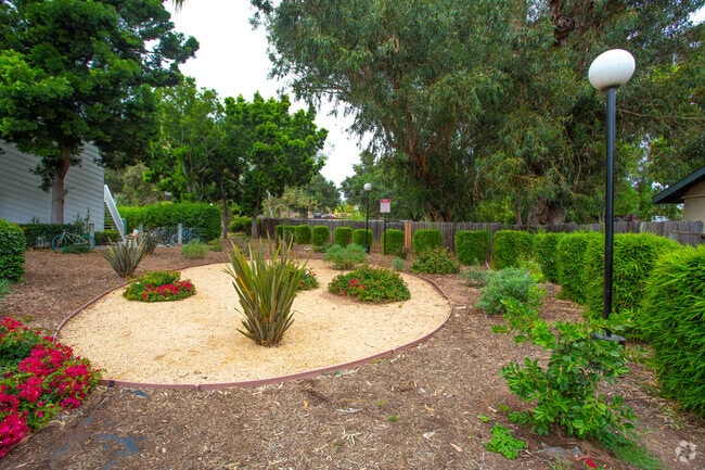 Courtyard - Citywalk