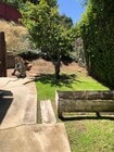 side yard dog run / fruit trees - 3253 Inglewood Blvd House