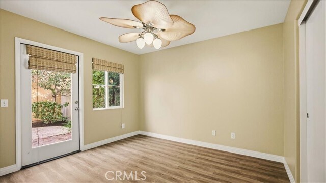 Photo - 8 Madagascar