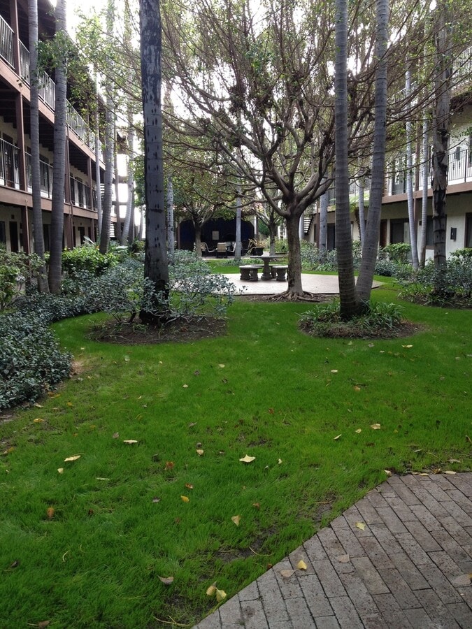 Photo - Los Caballeros #322 Unit 322B