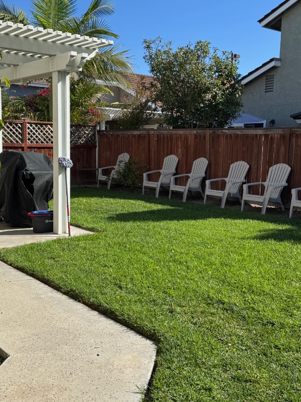 Photo - 50 Shearwater