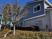 Photo - 1316 Verbena Ct