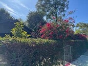 Photo - 548 Herbert St