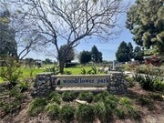 Photo - 17 Goldenrod