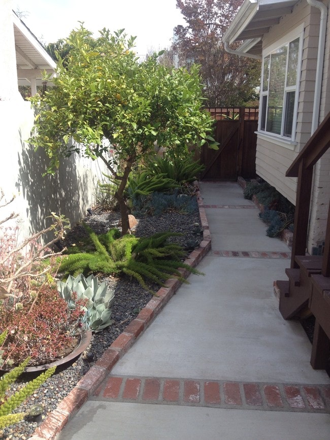 Walkway - 643 Santa Clara Ave Unit 643A