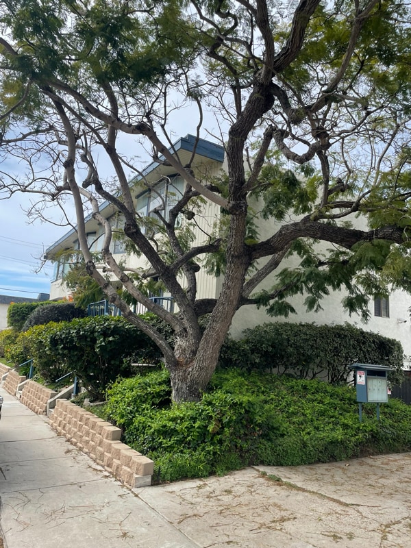 Photo - 1412 Graham St Townhome