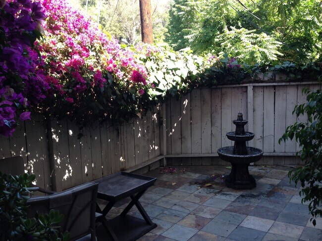 Front Patio - Seasonal View - 1815 N Beverly Glen Blvd