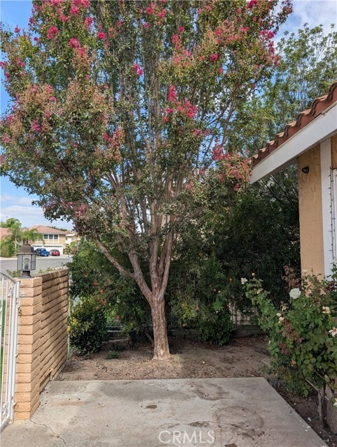 Photo - 381 S Carole Ln