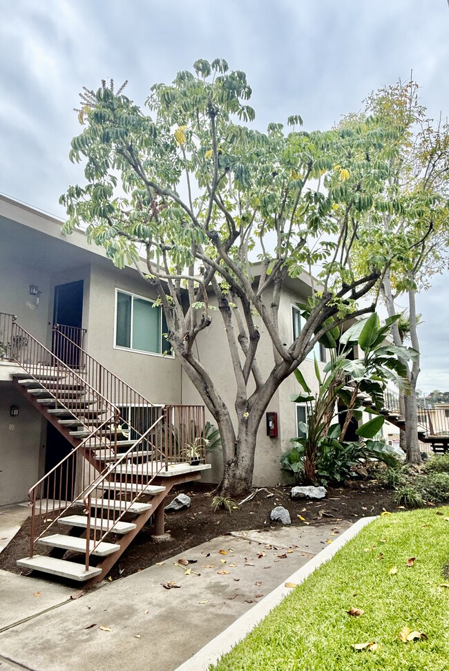 Photo - Village Terrace