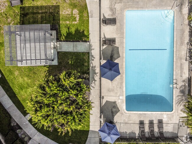 Pool & Courtyard - Citrus Park Apartments