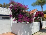 Photo - Elegant, Multilevel 3 Bedroom 2 Bathroom in Hillcrest / North Park with Outdoor Space