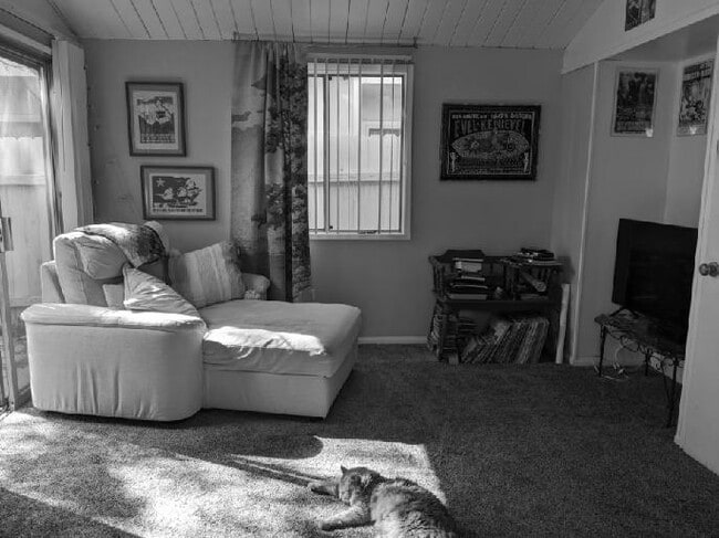 Living Room - 5616 Riley St House
