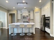 Photo - 56 Purple Jasmine