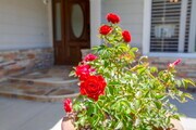 Photo - 7446 Trigo Ln House