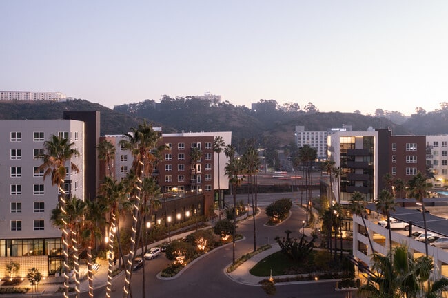 Photo - Felix at The Society