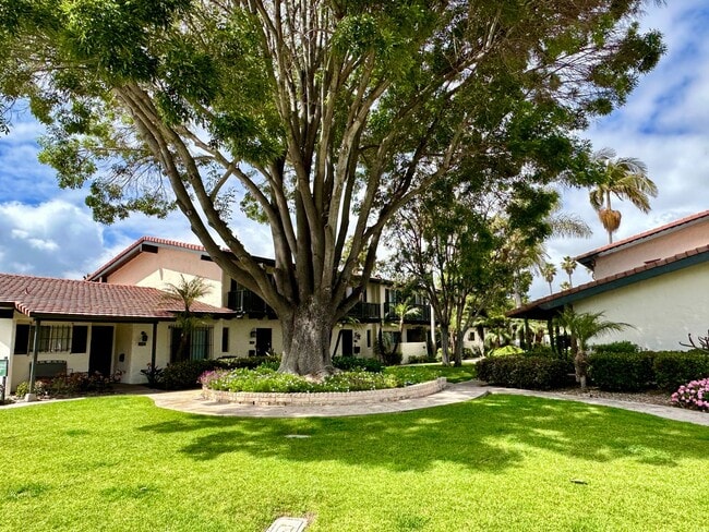 Spacious, Upgraded, 3 Bedroom 2.5 Bath Con... - Spacious, Upgraded, 3 Bedroom 2.5 Bath Con... Townhome