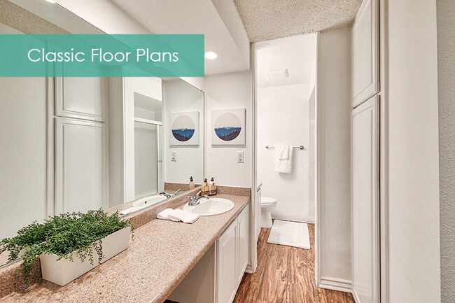 Vanity at The Meadows Apartment Homes - Meadows Apartments