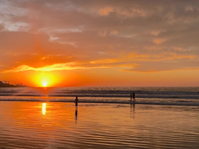 La Jolla Shores - beach view - 8231 Camino Del Oro Unit 20