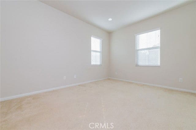 Photo - 183 Bright Poppy