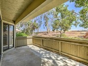 Photo - Flower Fields