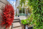 Surrounded by lush greenery - 718 Marine St House