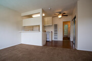 1BR, 1BA - Olive Tree Apartments