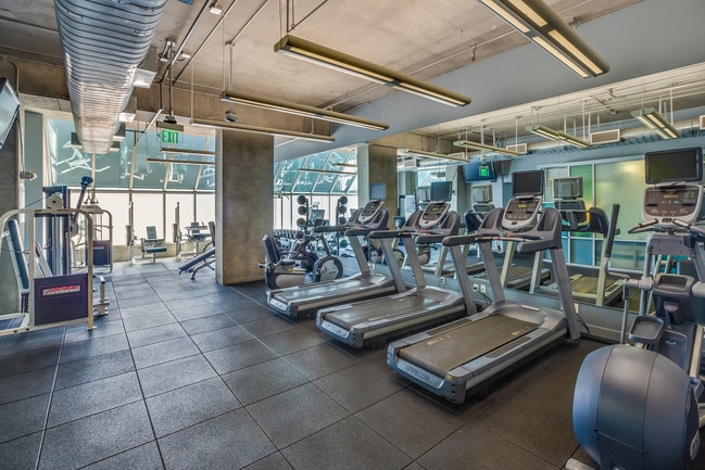 State-of-the-art fitness equipment - Renaissance Tower