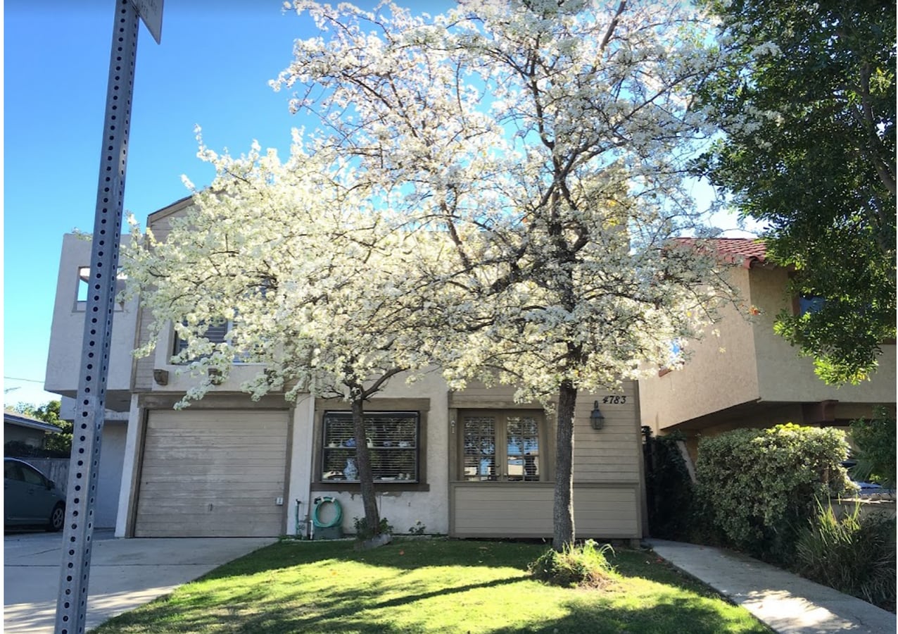 Stunning Two Bedroom Three Bathroom Home - Stunning Two Bedroom Three Bathroom Home