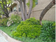 building gardens - 14572 Dickens St Unit 201
