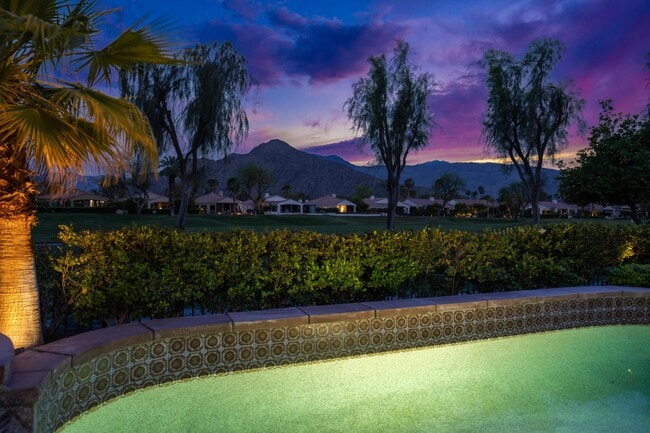 Photo - 79365 Mandarina