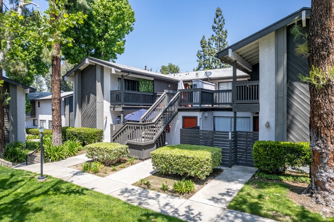 Photo - Portola Redlands