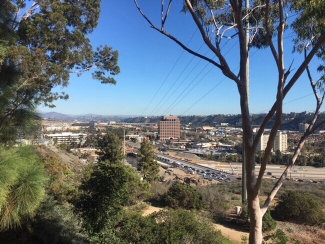 Photo - VIEW! VIEW! VIEW!