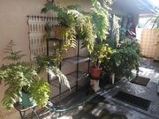 Photo - 999 E Valley Blvd Unit 111