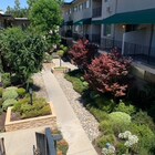 Photo - 220 E Live Oak St Apartment Unit 7