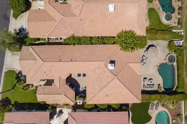 Photo - 79320 Toronja