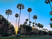 Photo - Whispering Pines Apartments Unit 35