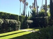Front lawn - 455 North Doheny Drive Apartments