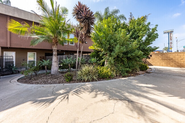 Courtyard - Carson Palms Apartments