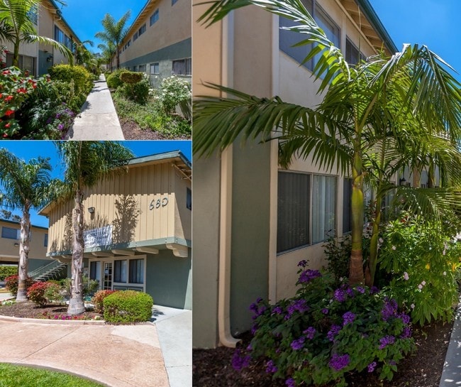 Watch Hill Apartments - Watch Hill Apartments