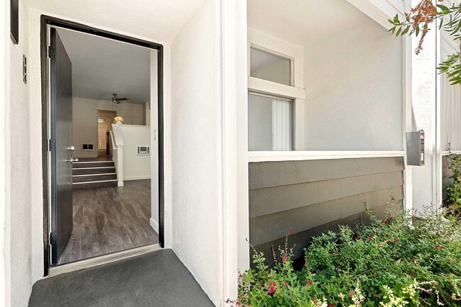 Weddington Apartments - Weddington Apartments