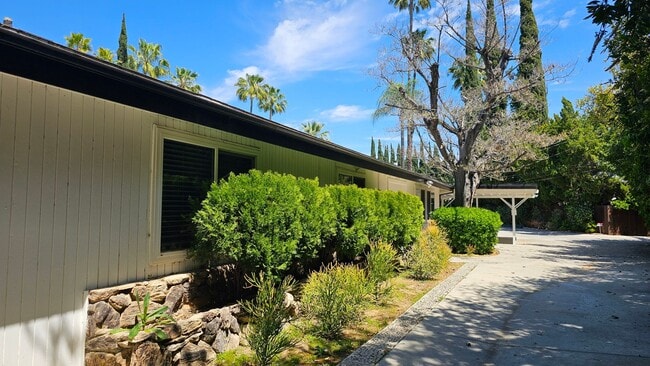 Photo - Mid Century Modern - 4 Bedroom Carlton Terrace Pool Home