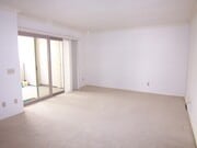 Photo - Cute and Cozy 1Br/1Ba located in Stony Bro... Condo