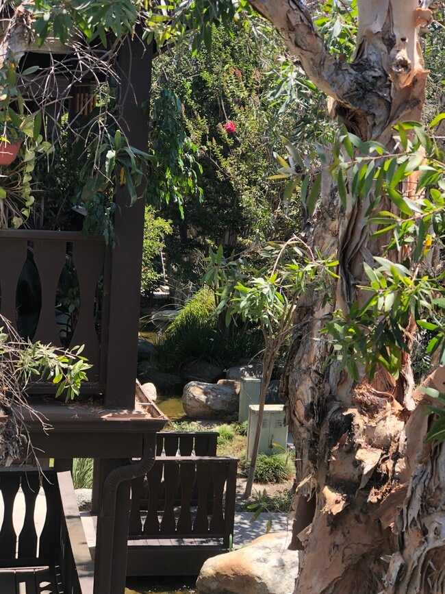 Patio View (1) - 12394 Rock Springs Ct Unit 42