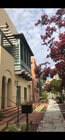 Photo - Los Patios De Cordova 218 S Oakland Ave Apartments