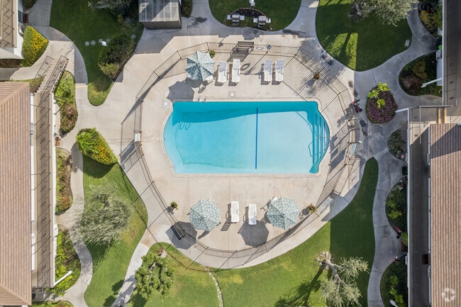 Building Photo - Los Olivos Apartments