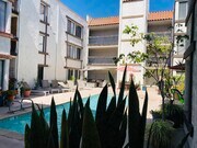 Pool side relaxation - 515 N Jackson St Unit 112