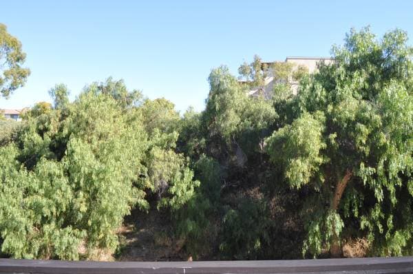 View off of balcony - 8085 Caminito de Pizza Unit p