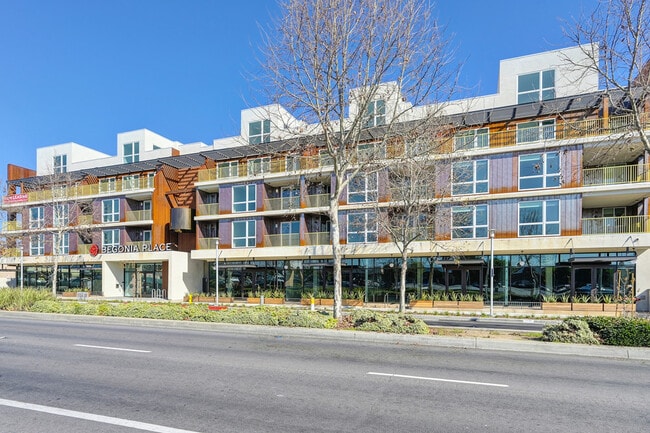 Begonia Place Apartments - Begonia Place Apartments