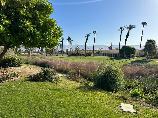 View from the back patio onto the green - 49174 Wayne St